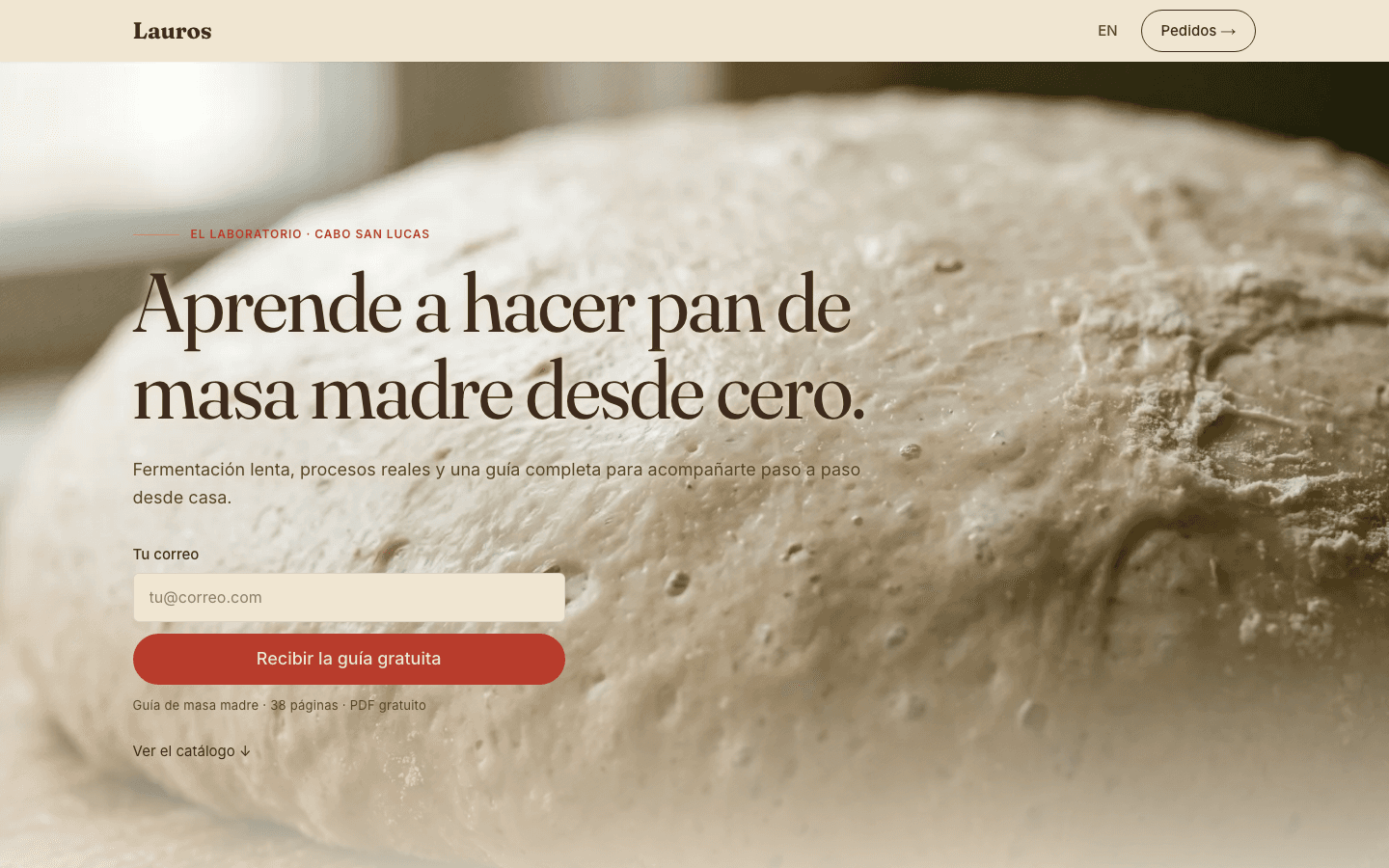 Vista previa: LaurosMx